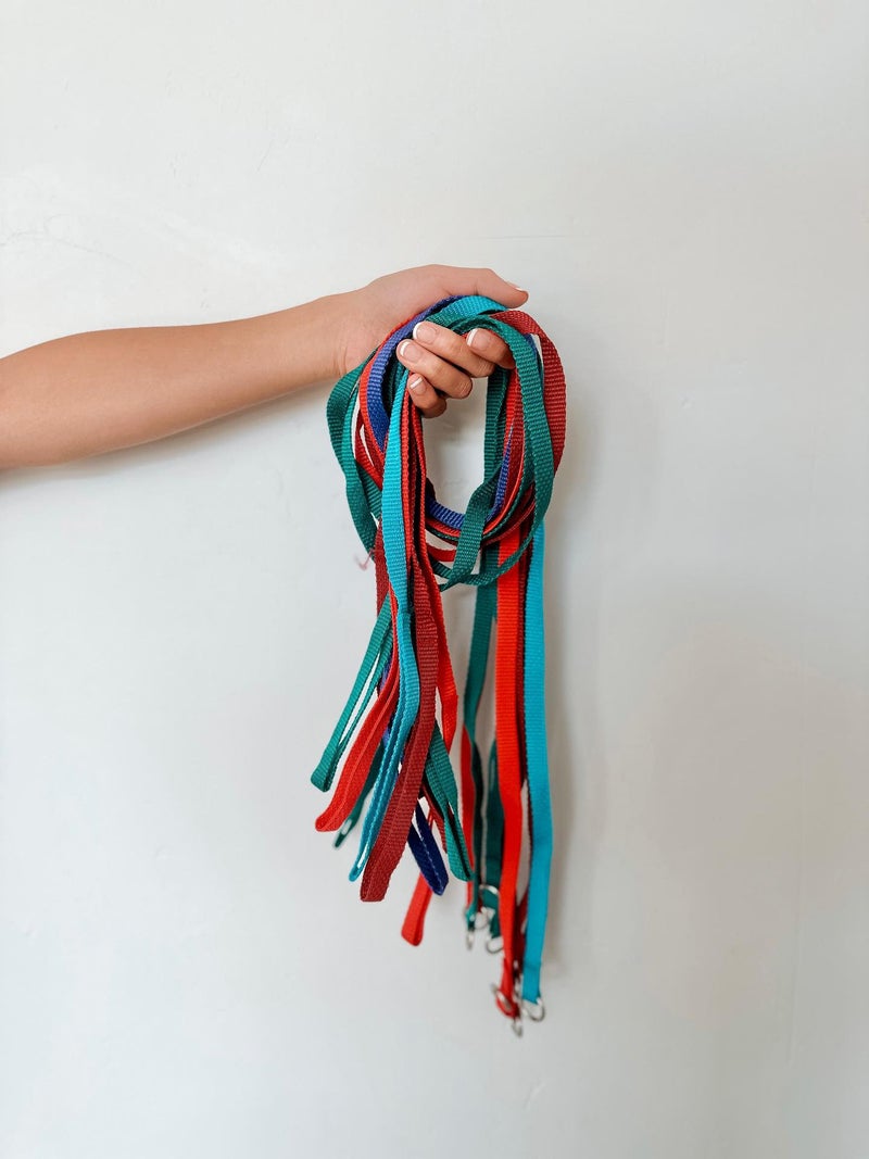 Midlee 4 Foot Dog Kennel Slip Lead Heavy Duty Nylon Pack of 10 - Image 3